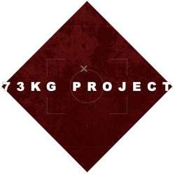 73 Karmann Ghia Project
